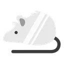 ratter ratter
