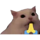 Catito_PrePray