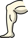 PFlegR
