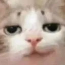 a_catsmirk