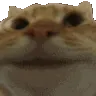 yehs