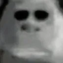 deadstare