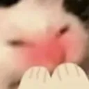 teehee teehee