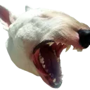 vensusAnger Discord Emoji