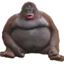 DarkMonke