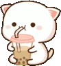 z_bobacat