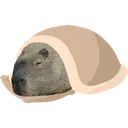 Cozybara