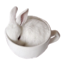 bunny_teacup Discord emoji