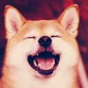 dogelaff