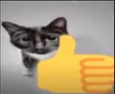 ok_thumbs