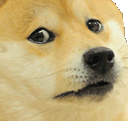 sad_doge