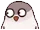 pigeon_stare