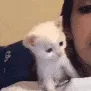 chumma
