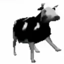 polishcow