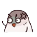 705443591266500679
