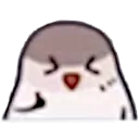 yay1