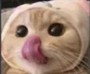 Cat Lick cat_lick Discord Emoji