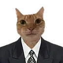 ABOGADO