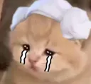 khok
