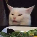 Notthatfunny Discord Emoji