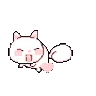 CUTE CAT