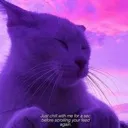 chillcat