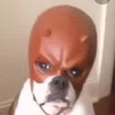 D7_Maddog Discord emoji