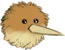 DORB