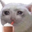 sadcat Discord emoji