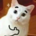 thumbsupcat