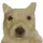 papu papu