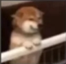whachu Discord emoji
