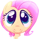 flutterstare