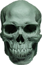 Skull_HD Discord emoji
