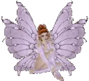 fairy fairy
