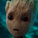 alore_groot