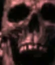tb_Skull