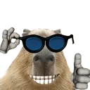 Capycool Capycool