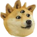 dogeAlien