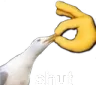 shut
