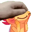 petaxolotl