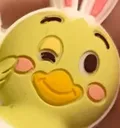 ericsduck
