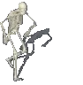 skelly