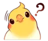birbquestion