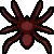 sarachnis
