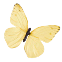 15_y Discord emoji