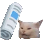 bonk