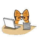 assort_studying