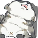 raccoonexhuasted