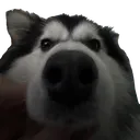 yokaistare